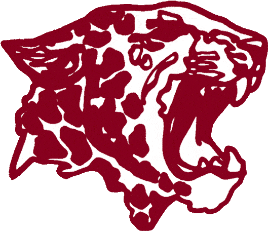 Lafayette Leopards 1986-1999 Primary Logo diy DTF decal sticker